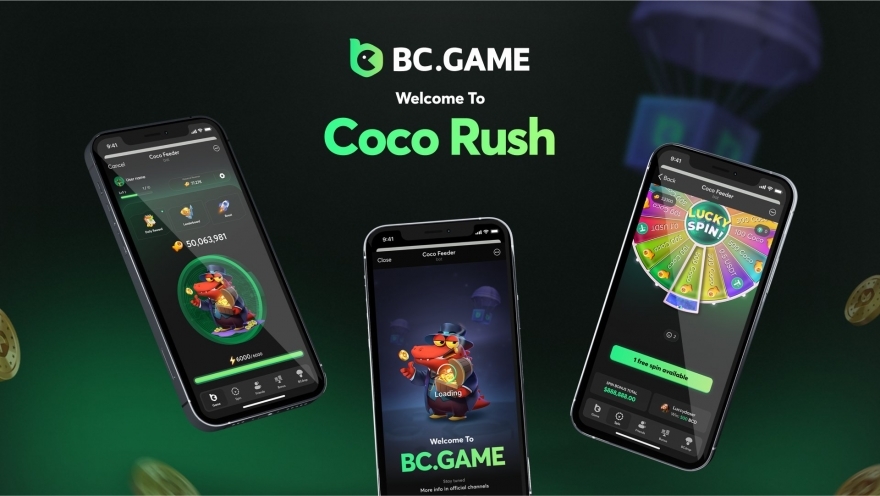 Explore the Thrills of Hash.Game Casino